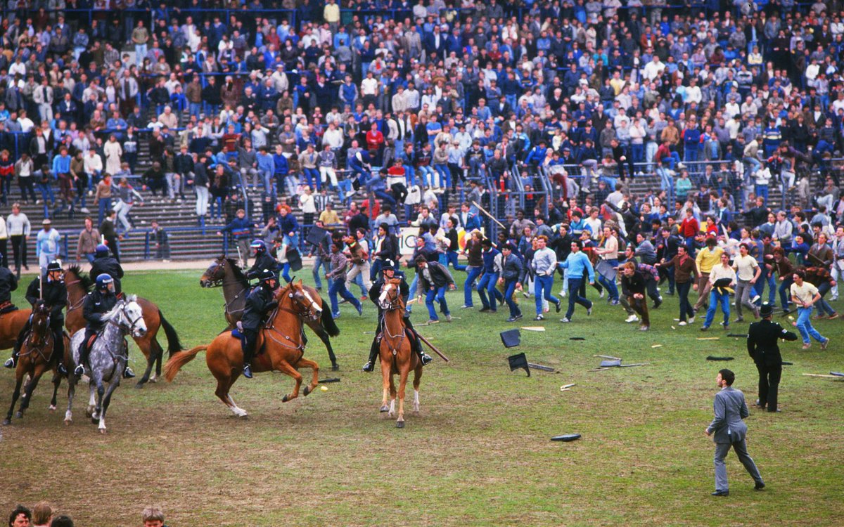 The Casuals Directory tweet media