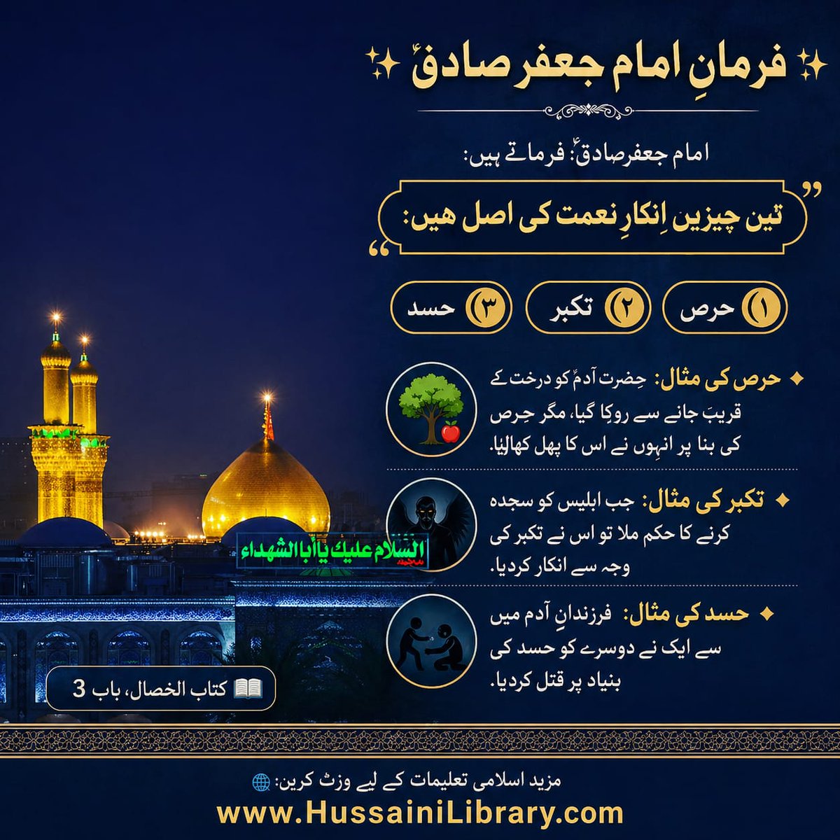 Nosheen Zehra tweet media