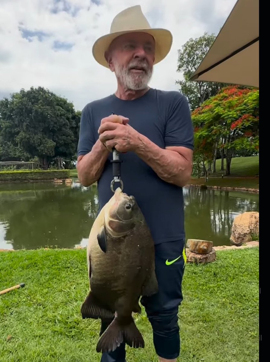 Joaquin Teixeira tweet media