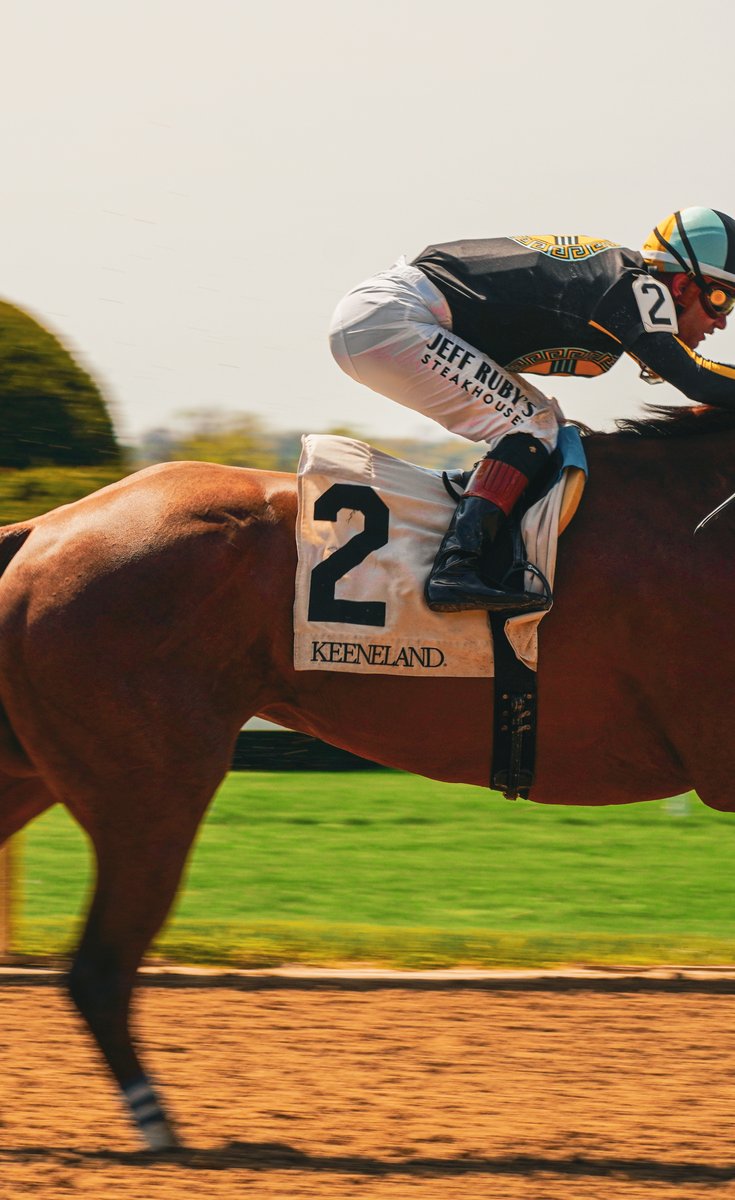 R. Brisset Thoroughbred Stable tweet media