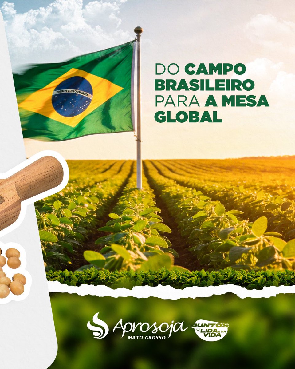 Onde a soja do Mato Grosso vai parar? 🌏🚀

Você já parou para pensar na jornada que o nosso grão faz antes de chegar ao destino final? O #PassaporteDoAgro mostra que o impacto do produtor mato-grossense atravessa oceanos e alimenta o mundo! 🌎🌱

A força do campo mato-grossense