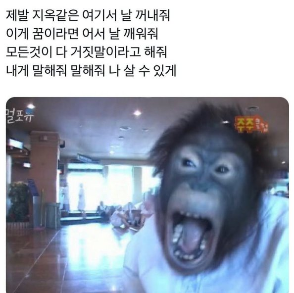 앰비 tweet media