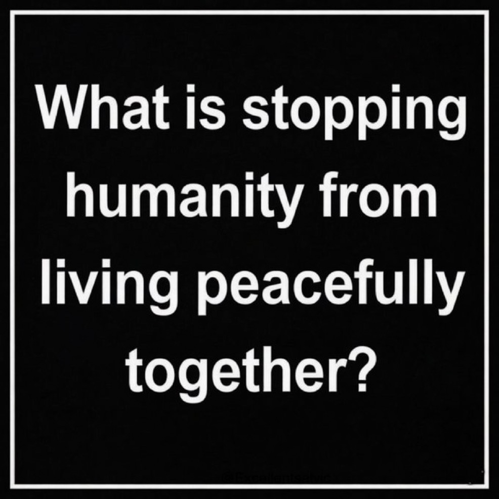 Honey 🛼 tweet media