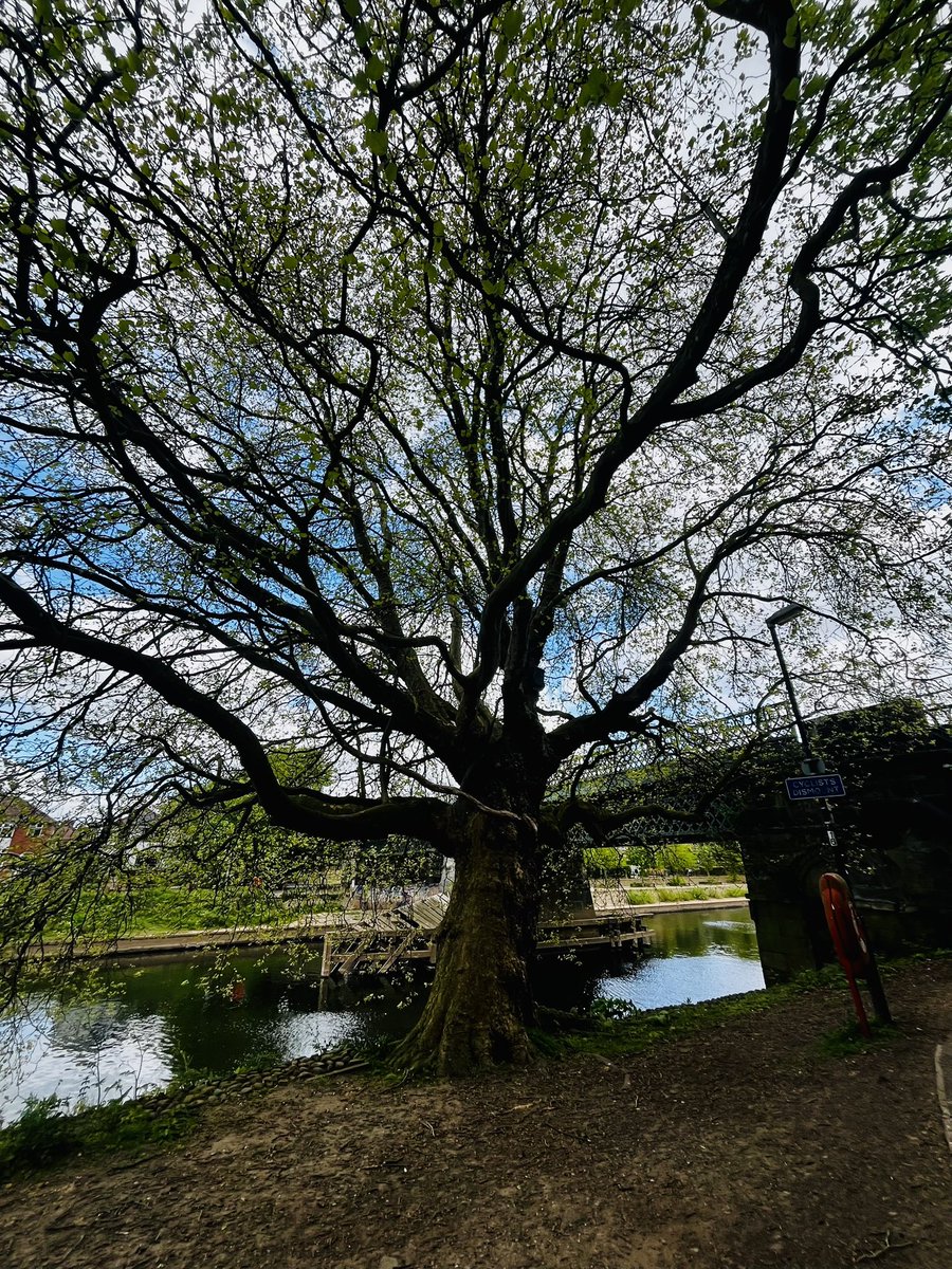 JayMitchinson's tweet image. When an ancient member of the community has the power to stop you in your tracks #York