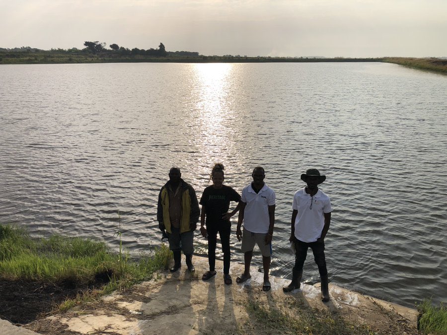 Thecapitalevang's tweet photo. 2 years ago, as the CAPITAL FARMER ™️, I raised $25,000 & secured land in Uganda’s largest irrigation scheme — Mubuku — fed by the mighty Rwenzori ranges.

That single move made me the biggest onion grower in the entire Rwenzuru and greater Toro sub-region: 13.8 acres under pure onion cultivation.🤷🏿‍♂️

At full capacity, I was employing 60 people daily — 50 women and 10 men.
Everything was smooth, life was all rosy … until price fluctuations showed me pure “shege.” 

I sat there regretting why I had put everything into one crop.

Mind you, I started growing onions 8 years ago. My very first season was so profitable I bought land in Kampala with the proceeds and swore I would become the largest onion grower in Africa.

But that brutal setback 24 months ago forced me to completely rethink my strategy.
Tonight in our Space @youngnwinning_ , 
I’m pulling the curtain back: ✅ How I fully recovered ✅ How I’m now setting up my own irrigation scheme (smaller than Mubuku but with far greater ROI) ✅ Why I’m diversifying unapologetically ✅ And my unfiltered thoughts on “OPM” versus “MOM”

The full gist drops tonight.

If you’re a farmer, entrepreneur, or someone who’s ever taken a big risk and got burned… you don’t want to miss this.
Tune in.
#CapitalFarmer #FeedingAfrica