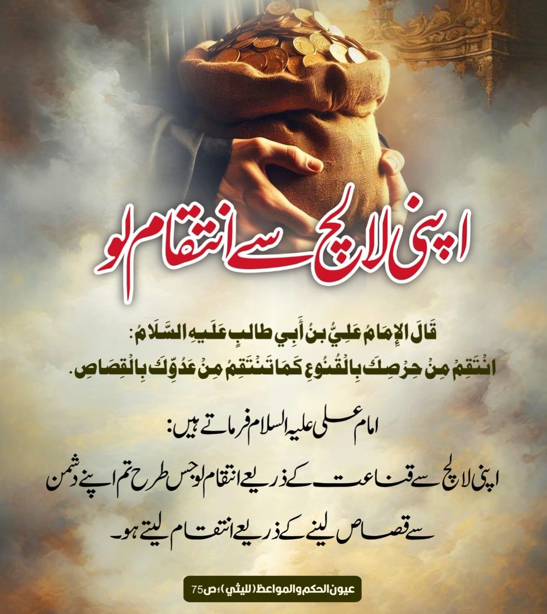Nosheen Zehra tweet media