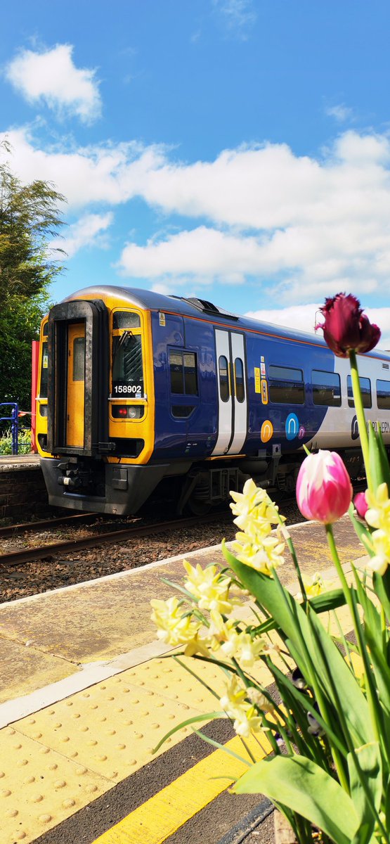 Guard_Amos's tweet photo. @northernassist #brel158902 is amongst the flowers at Bentham as it makes its call with @TheBenthamLine services to Morecambe and Leeds

@railexpress @RailwayMagazine @TodaysRailways @Modern_Railways @railcamlive @TomDearlove1 @ukrailadventure @alexhornbyrail https://t.co/AYrUxBUcVS