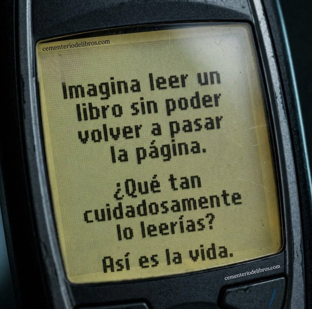 Cementerio De Libros tweet media