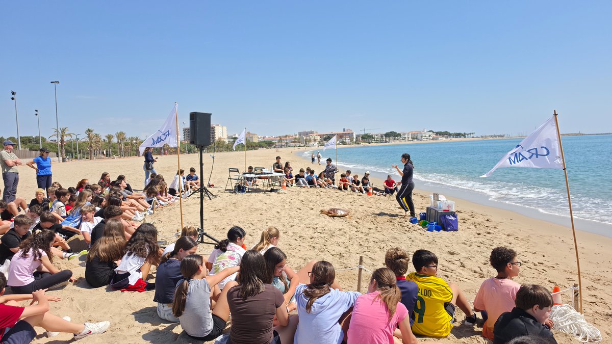 ajuntament_vh's tweet photo. 🐢Vandellòs i l’Hospitalet de l’Infant s’incorpora al projecte #ECOMED per protegir la biodiversitat marina.
Ahir es va celebrar una jornada formativa i divulgativa que va culminar amb l’alliberament de la tortuga Gaudina, recuperada per la Fundació CRAM, a la Platja de l’Arenal https://t.co/mM6jK2pRwe