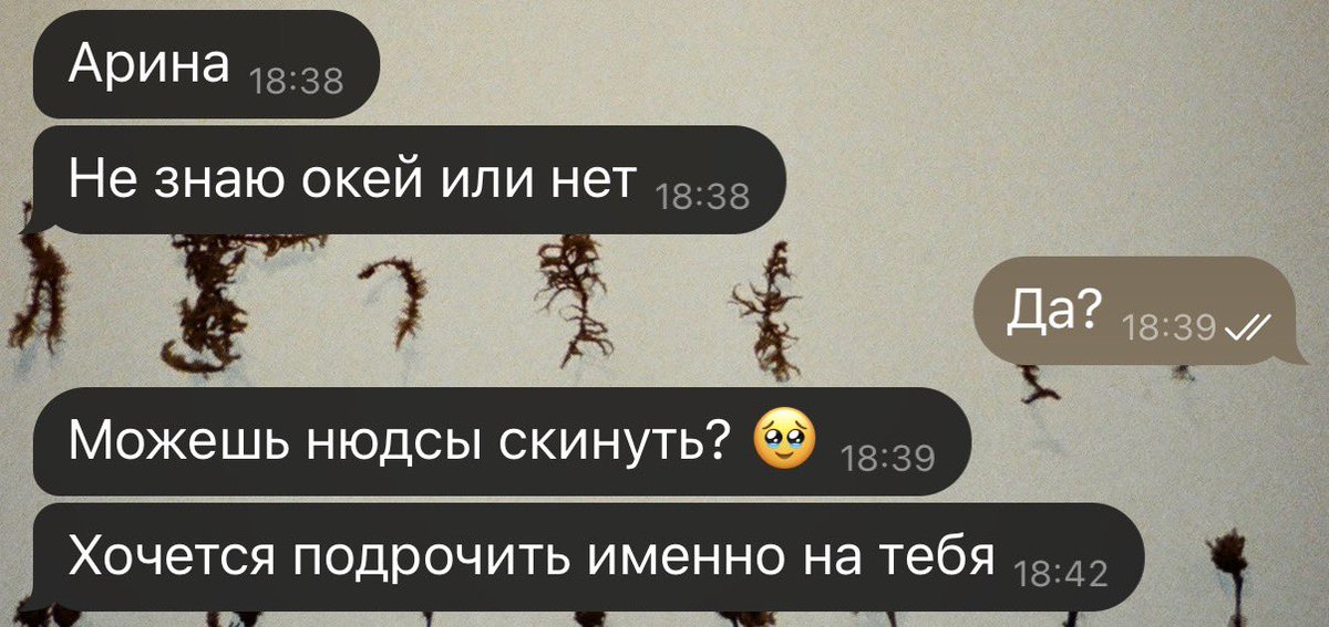 арина ну что за х tweet media