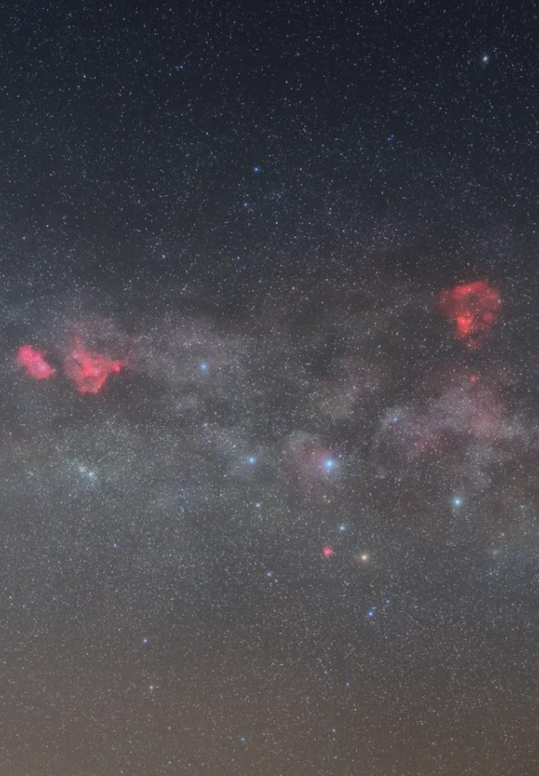 Mathilde Nieuwenhuis 🧛🏻‍♀️🌹 tweet media