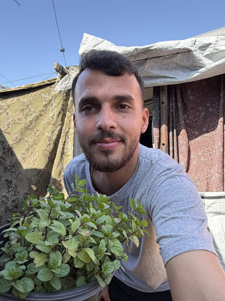 ODAY || 🇵🇸 tweet media