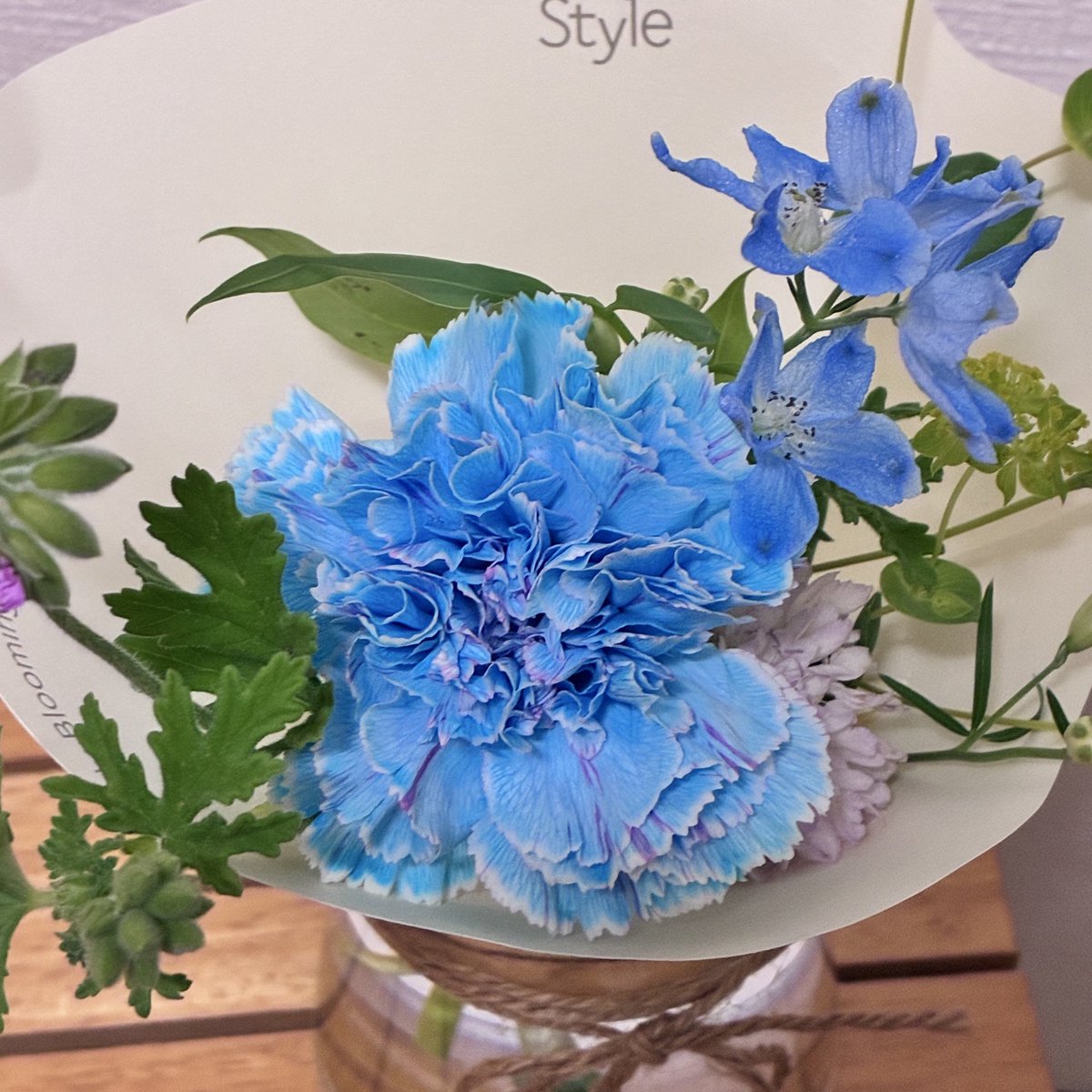 今日のお花𓂃 𓈒❁⃘ ・カーネーション(染め青色) ・ドルフィニュウム