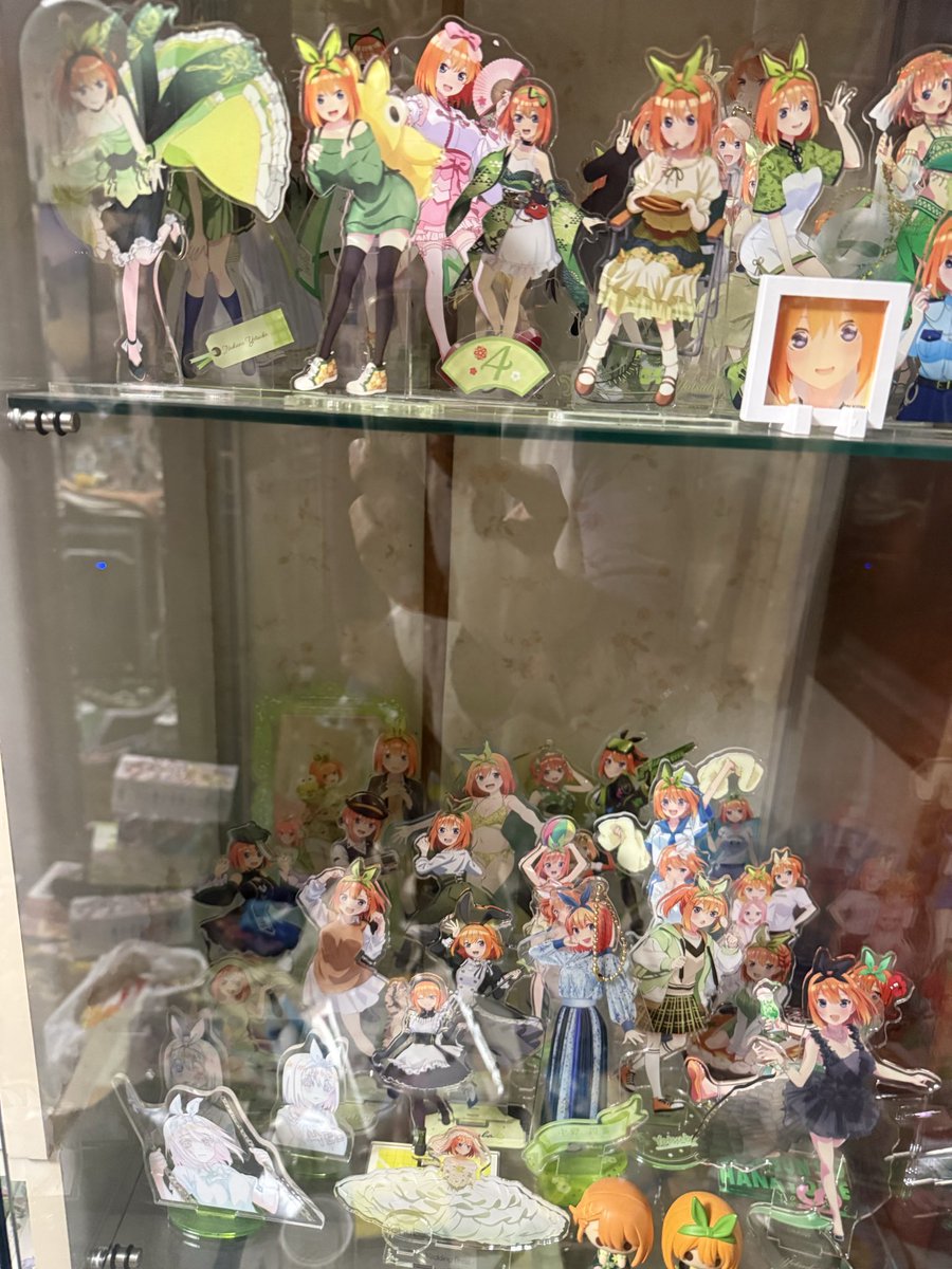 こばしん@ファンねる🐈‍⬛🫧🚑 tweet media