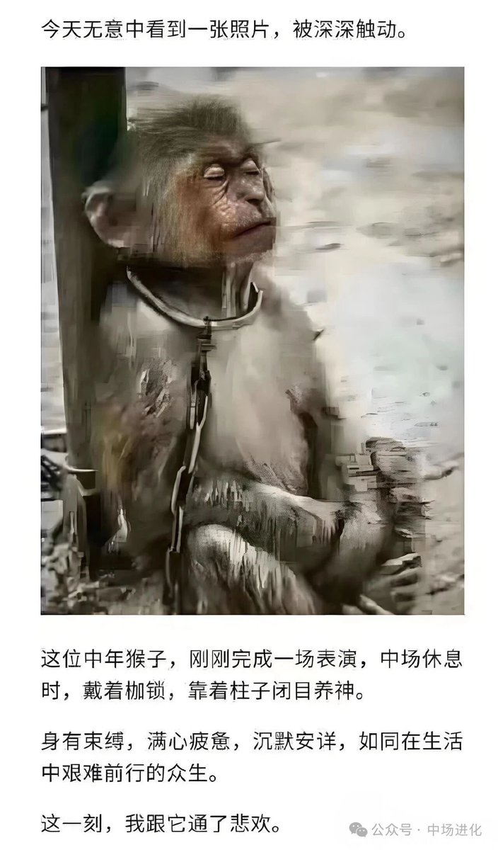 大脑对白 tweet media
