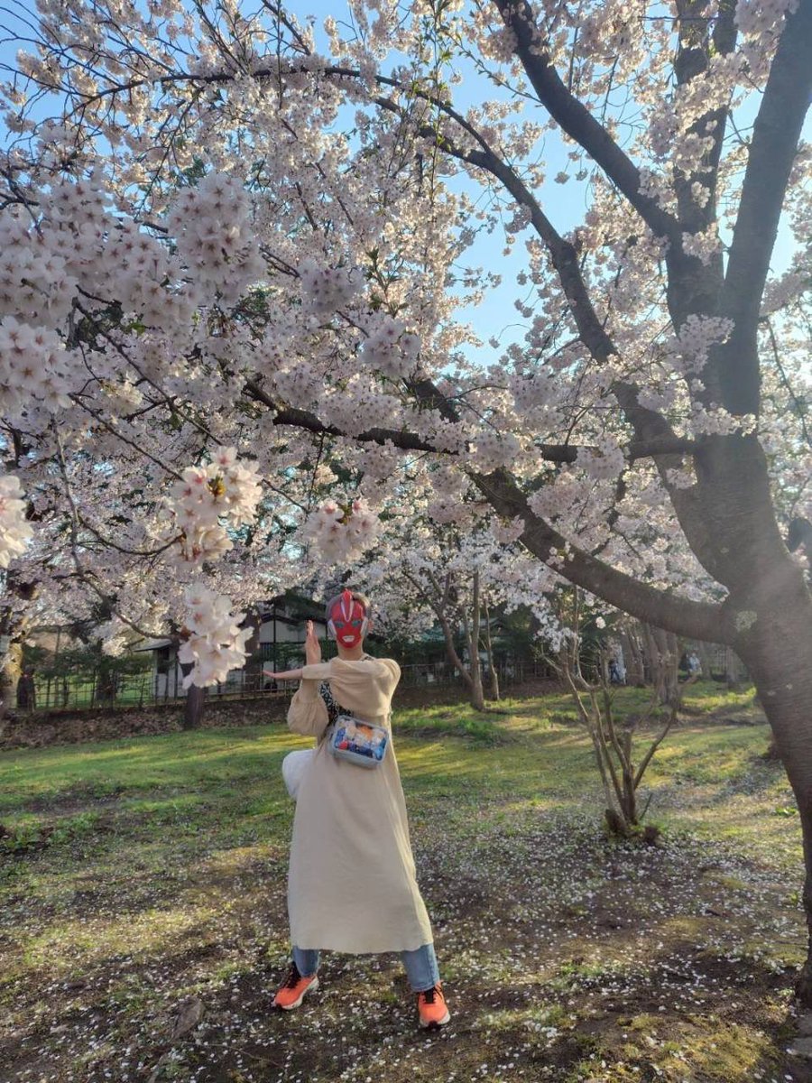 一昨年からやってるやつ