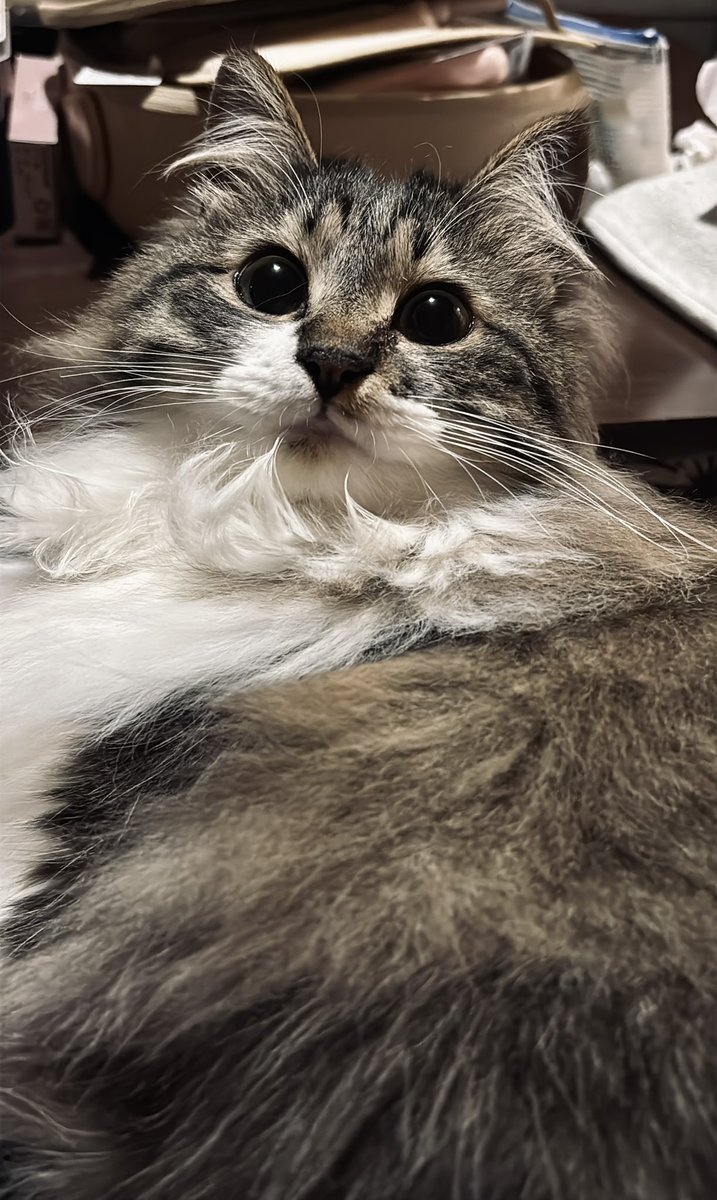 ＼✨パヤピ✨／