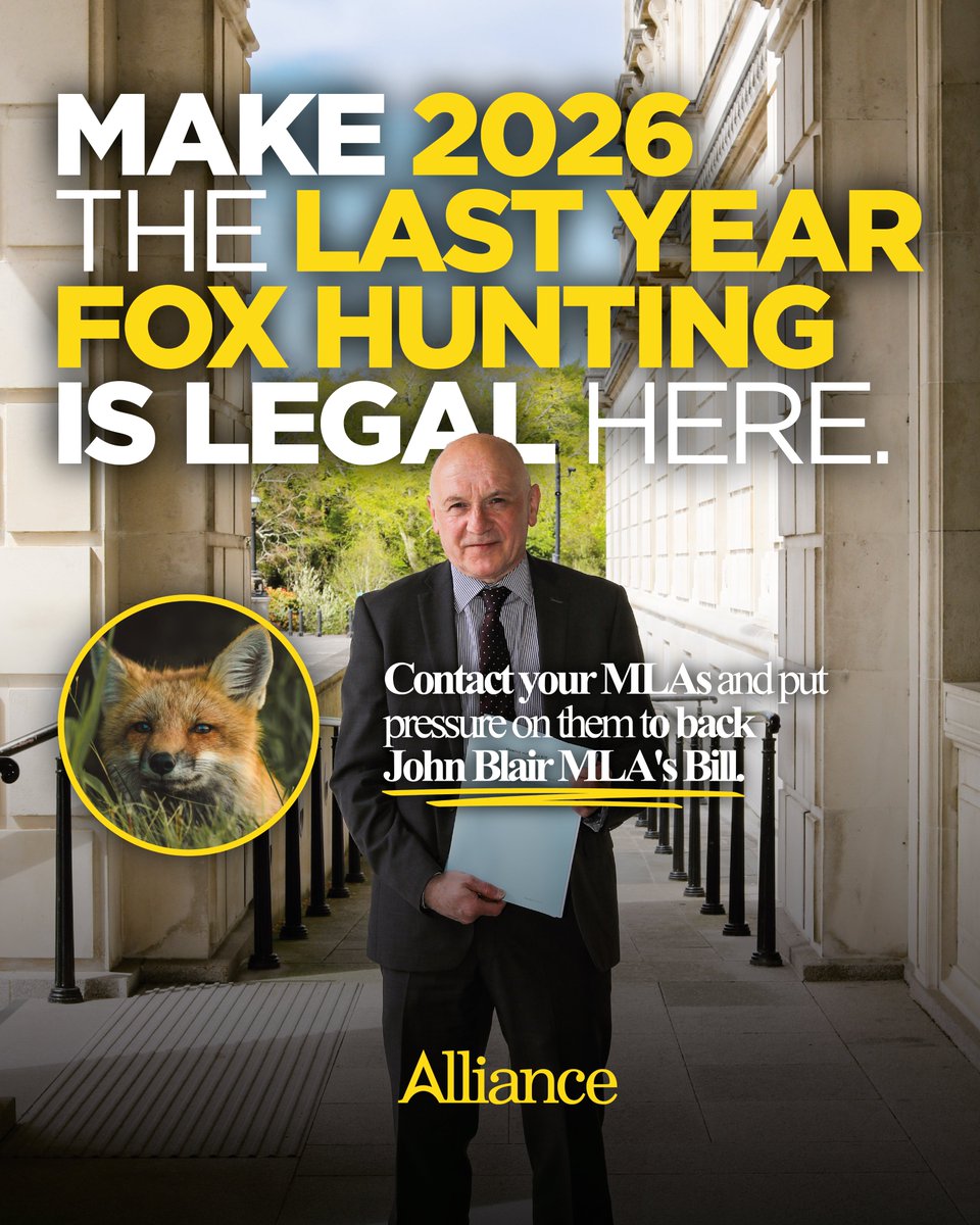 Alliance Party tweet media