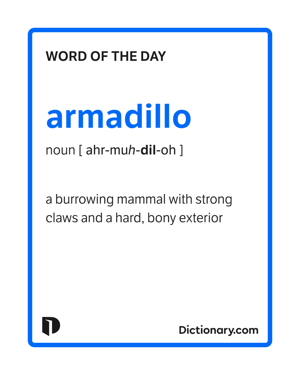 Dictionary.com tweet media