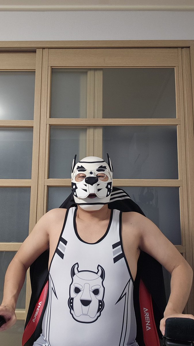 개곰 tweet media