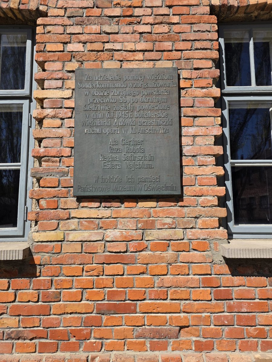 joanna plotnicka tweet media