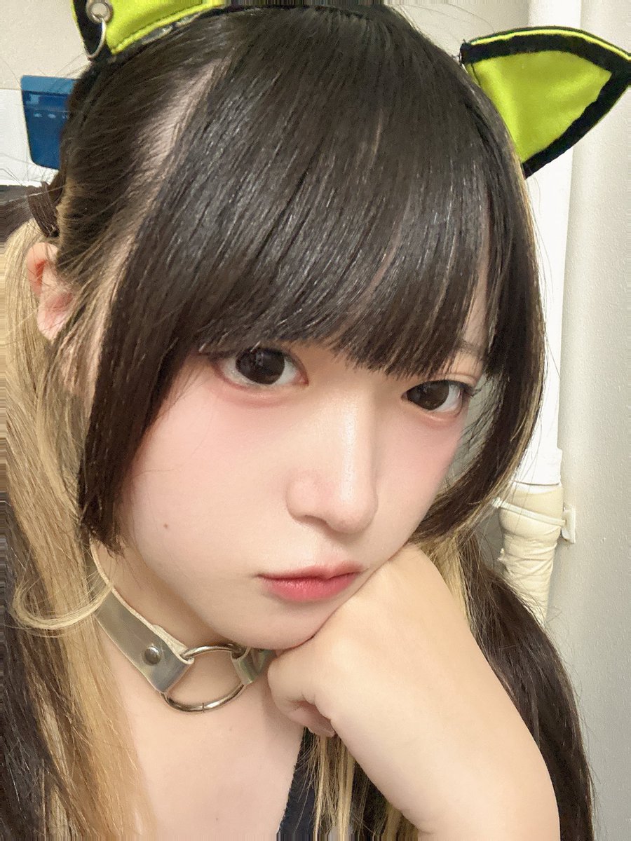 やね tweet media