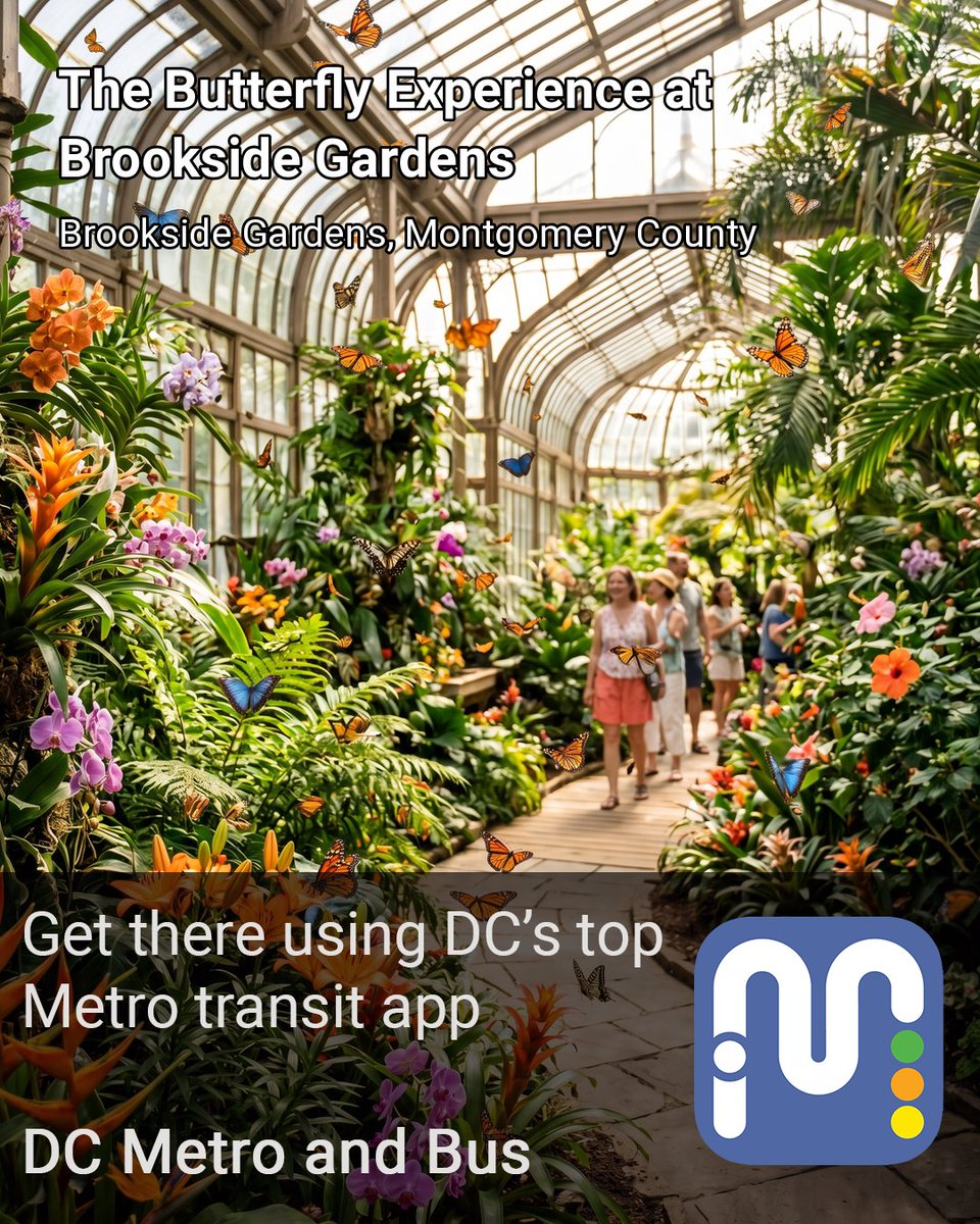 DC Metro and Bus App tweet media
