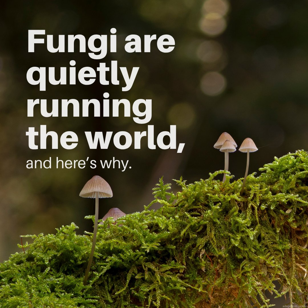 UN Environment Programme tweet media