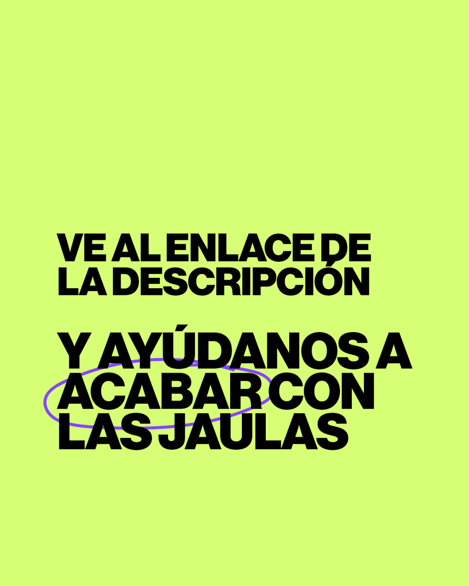 Observatorio de Bienestar Animal tweet media