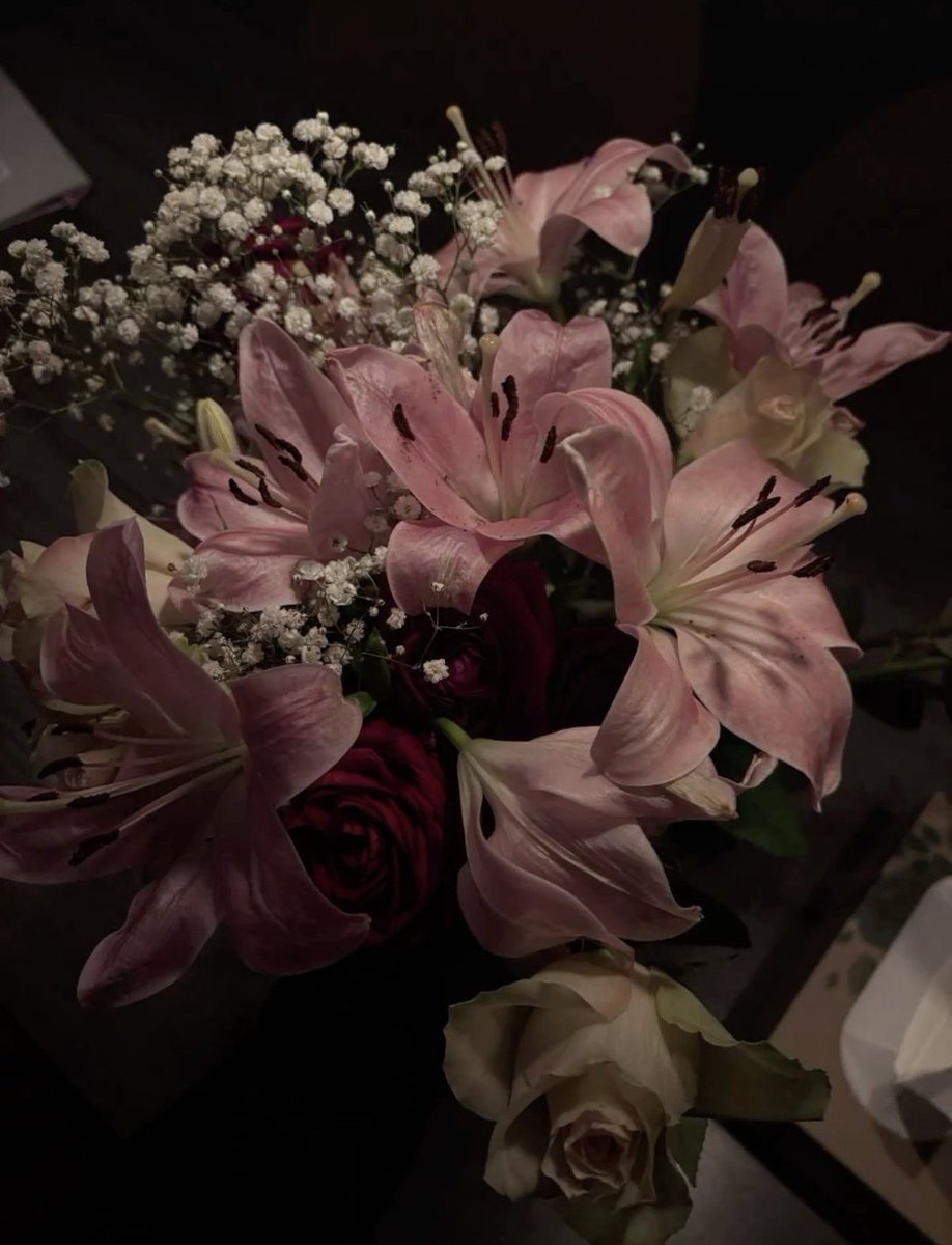 𝓣𝓱𝓮𝓑𝓵𝓸𝓼𝓼𝓸𝓶𝓢𝓽𝓾𝓭𝓲𝓸 tweet media