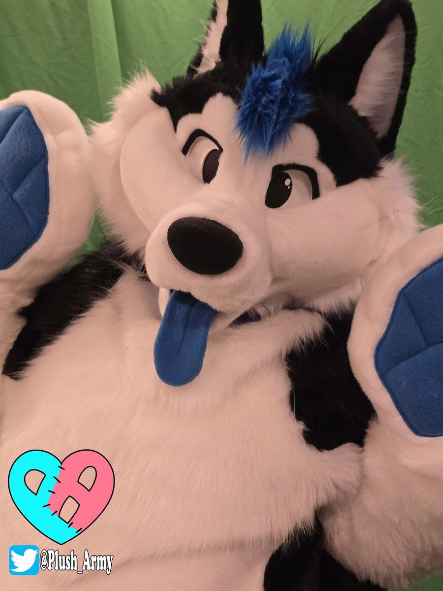 plush_army's tweet photo. How's want to be a cutie??
Last day to adopt that one !!!!

https://t.co/Xju7DRb9nZ https://t.co/HXbLHiXBZO