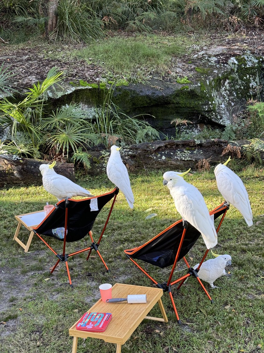 карина ☁️💙 tweet media