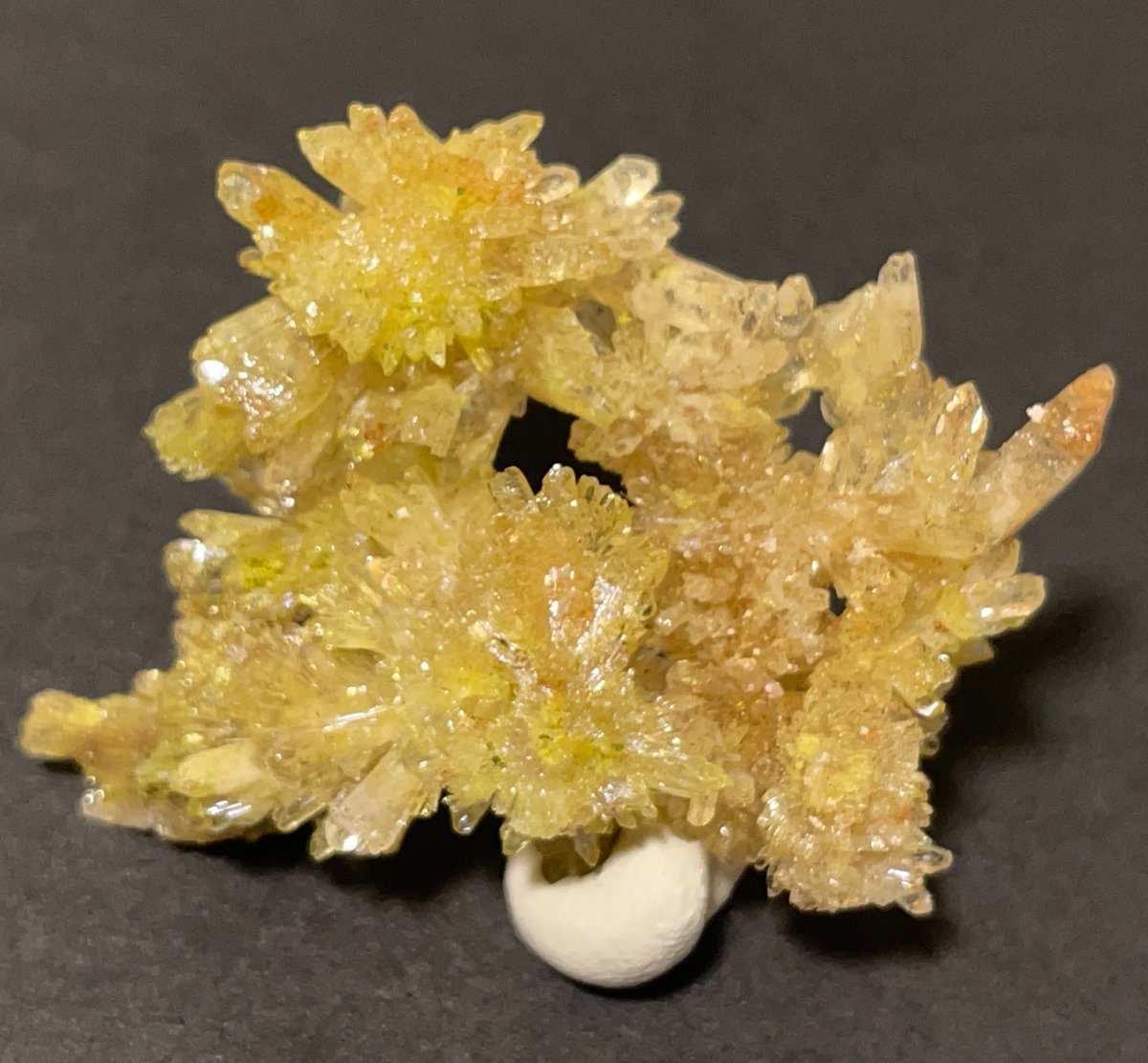 大地の華　浅草石フリマ　金土出展予定 tweet media