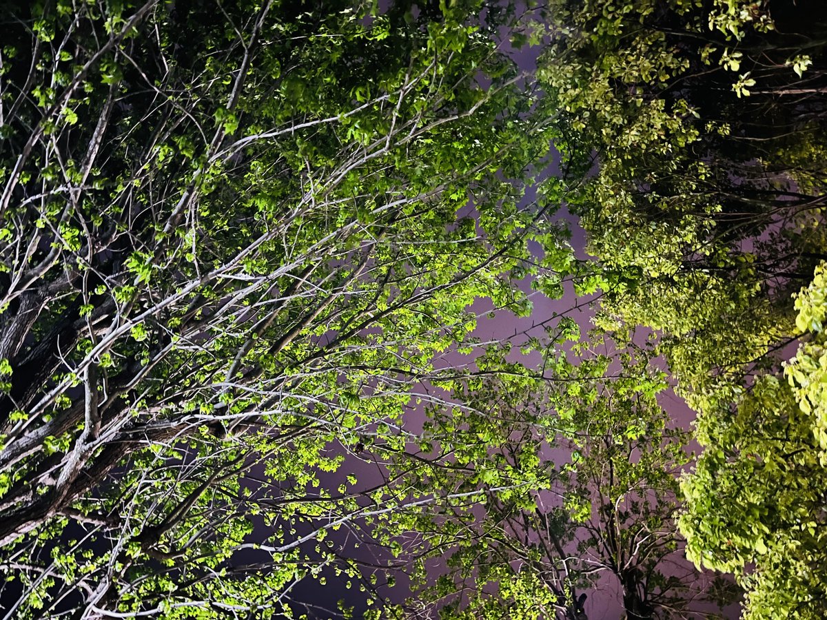 生きづれぇなと思う時は気分転換に夜な夜なランニングしてる。あれっ、ここは魔界への入り口？