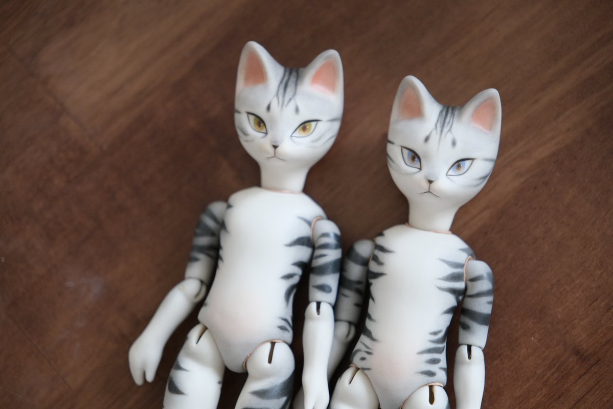 🍄cocoroico🍄 tweet media