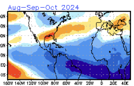 The American Storm tweet media