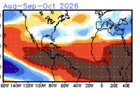 The American Storm tweet media