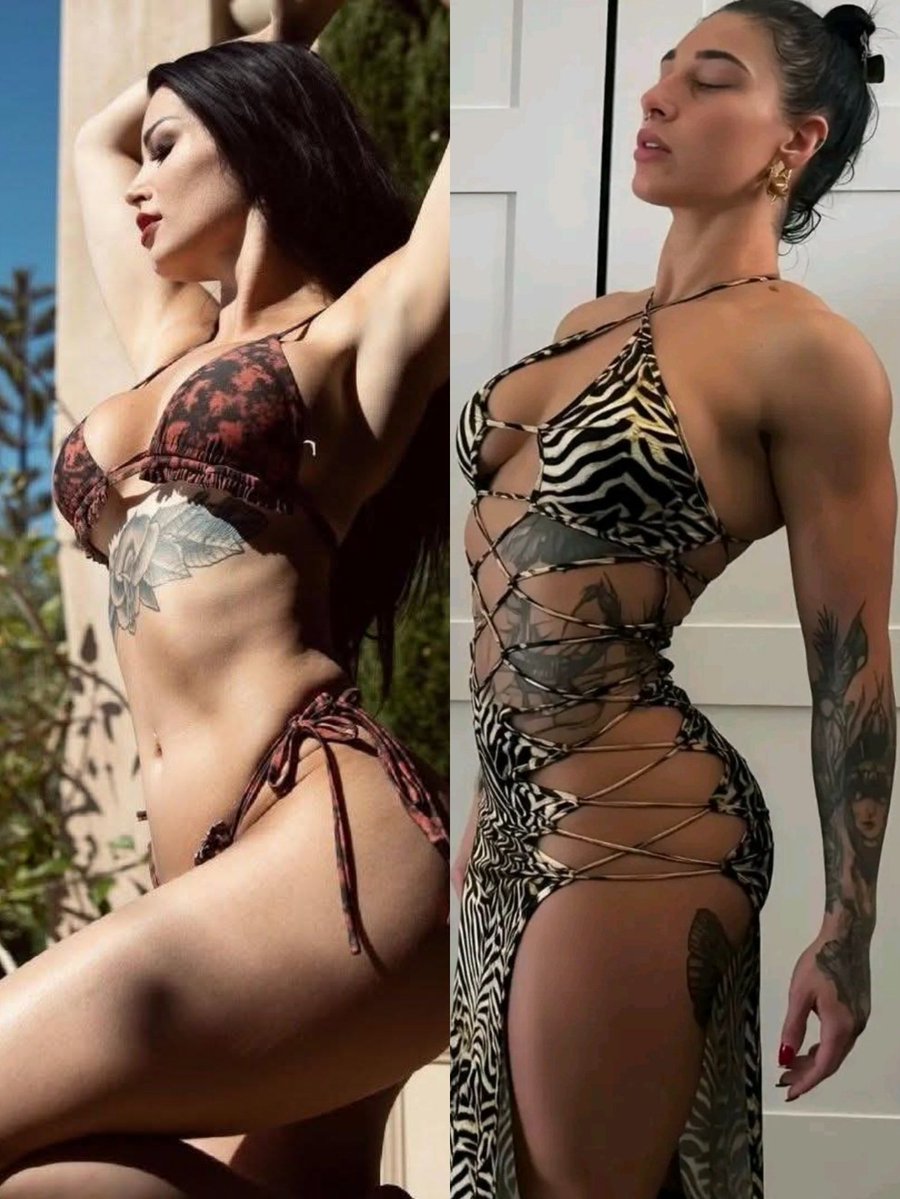 WWE News Updates tweet media