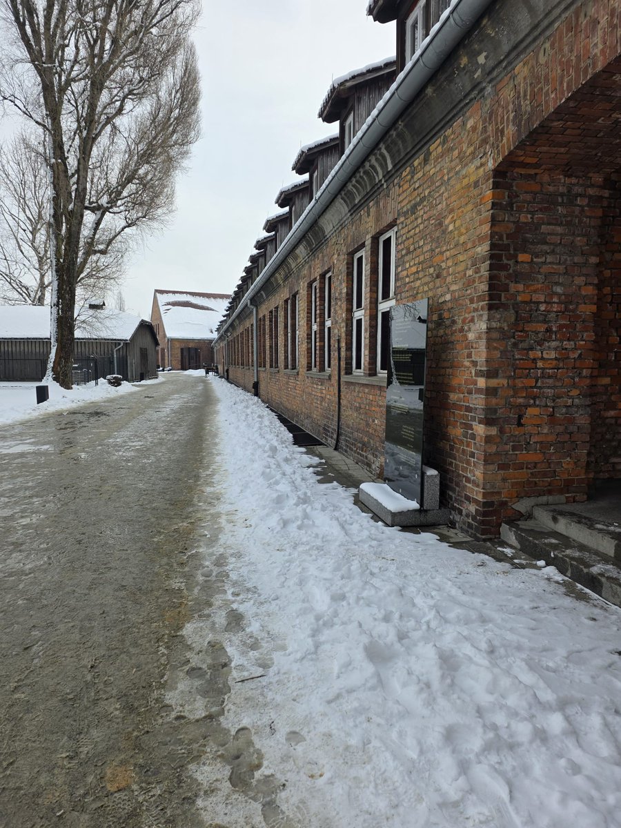 joanna plotnicka tweet media