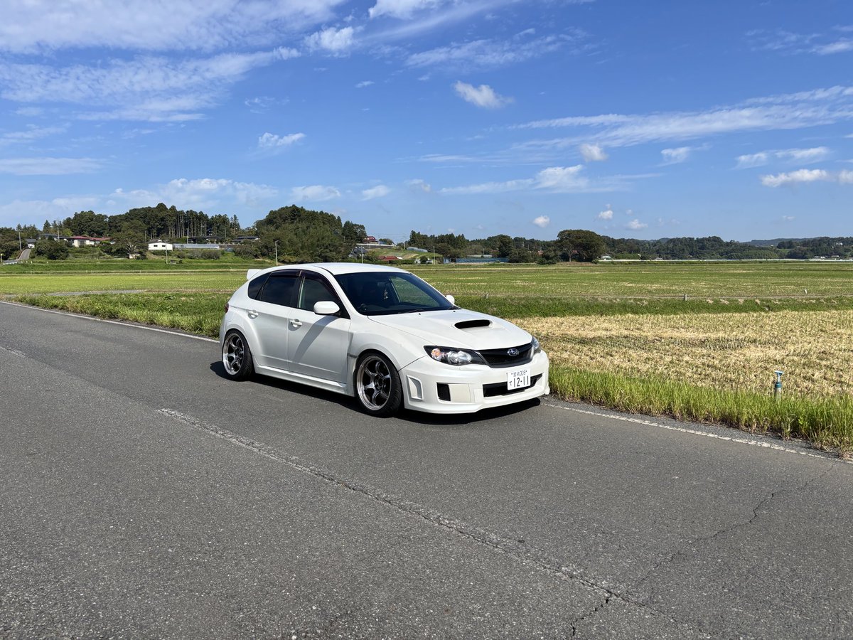 グレイス(本名) tweet media