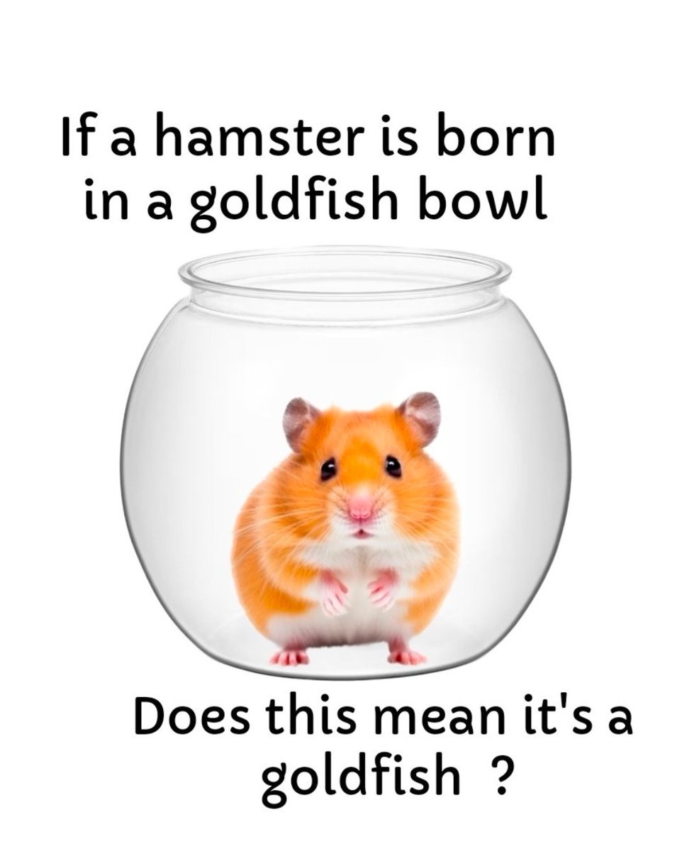 Snow WHITE 🇬🇧🏴󠁧󠁢󠁳󠁣󠁴󠁿 tweet media