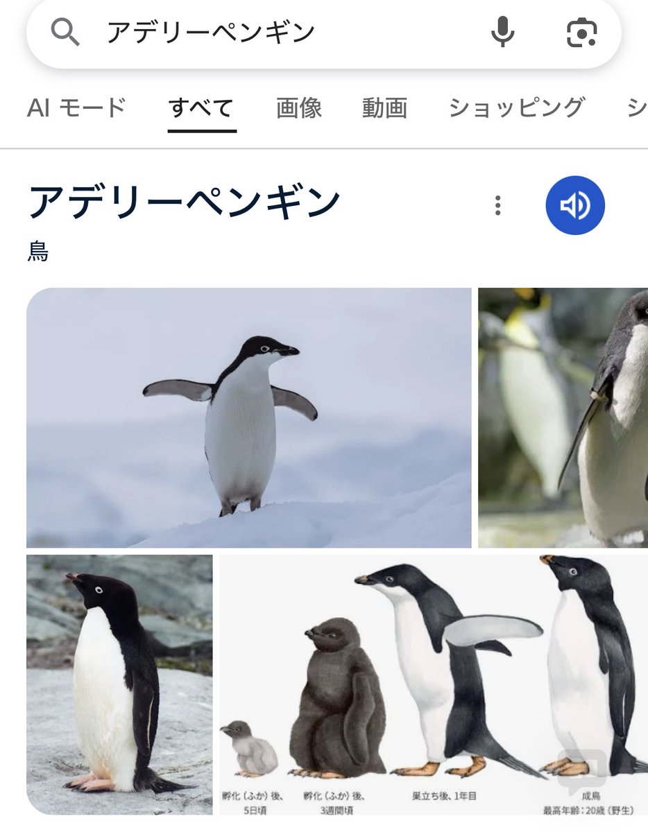 渓谷灯5/5西1ク60a tweet media