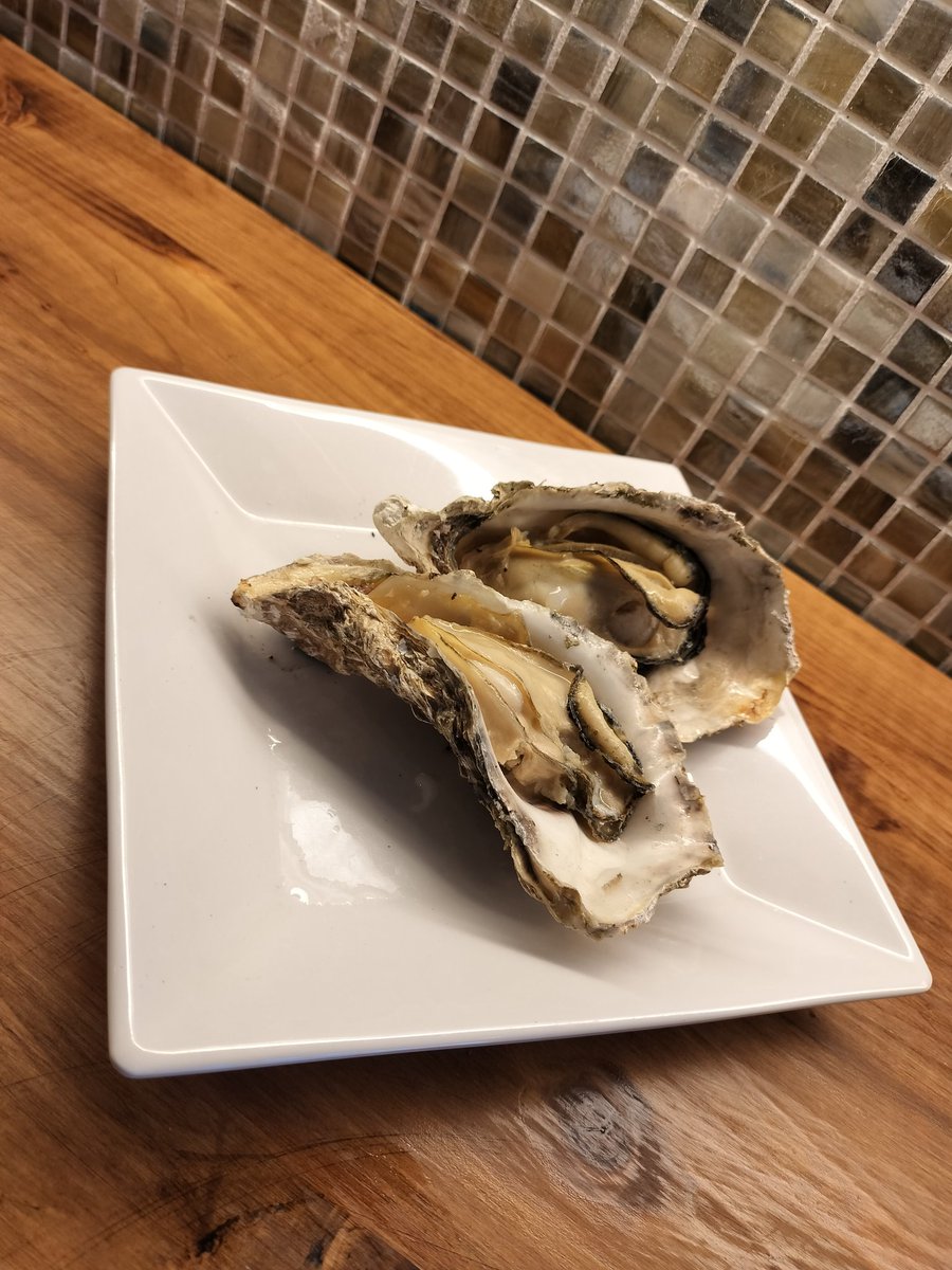 YOSHIKEN@ヨシロ•ケン tweet media