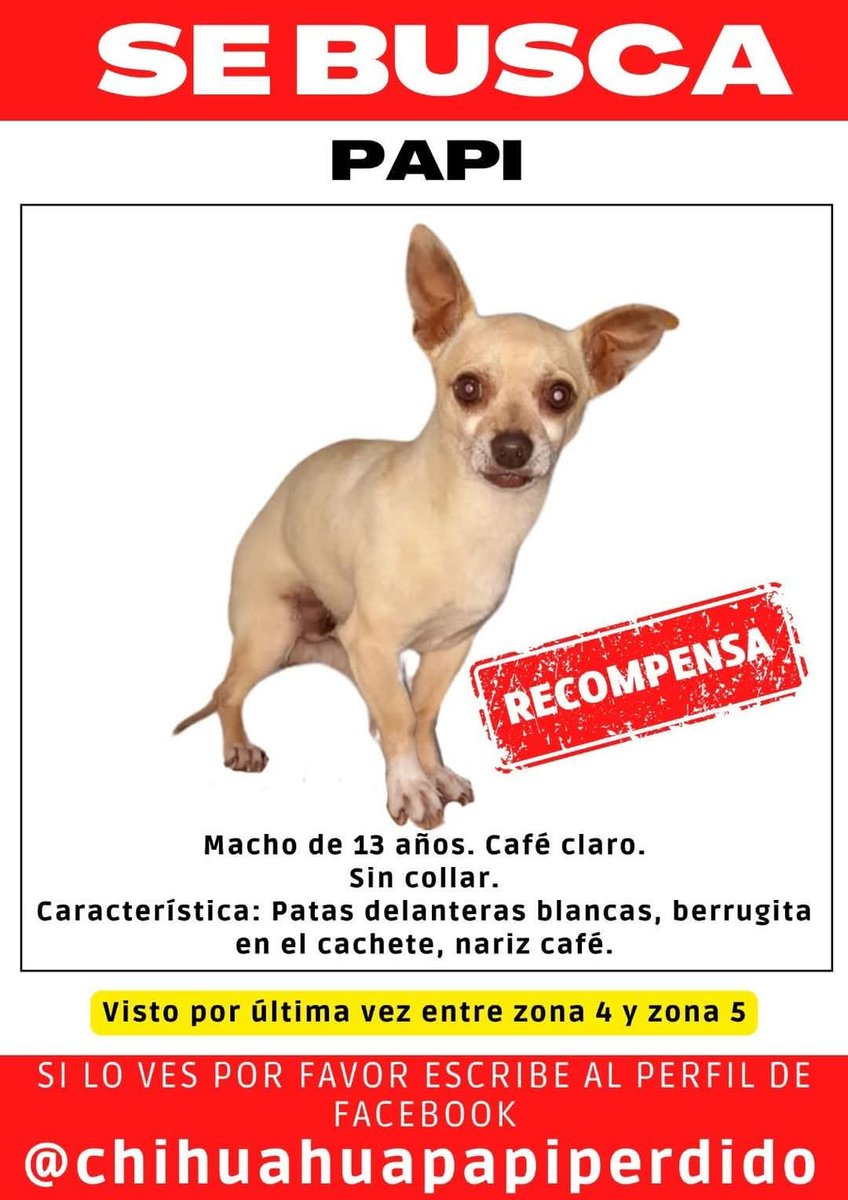 guatexanimales2's tweet image. #repost