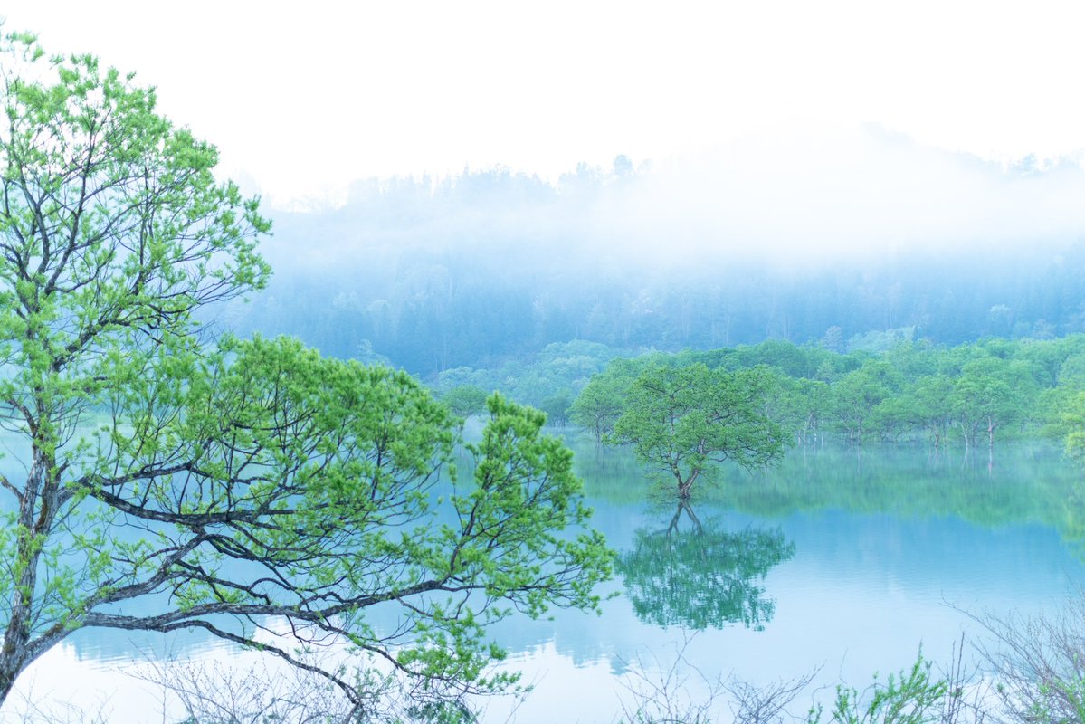 ちぃ介@PHOTO tweet media