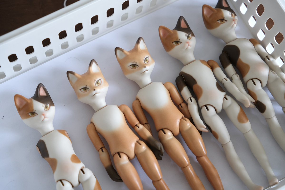 🍄cocoroico🍄 tweet media