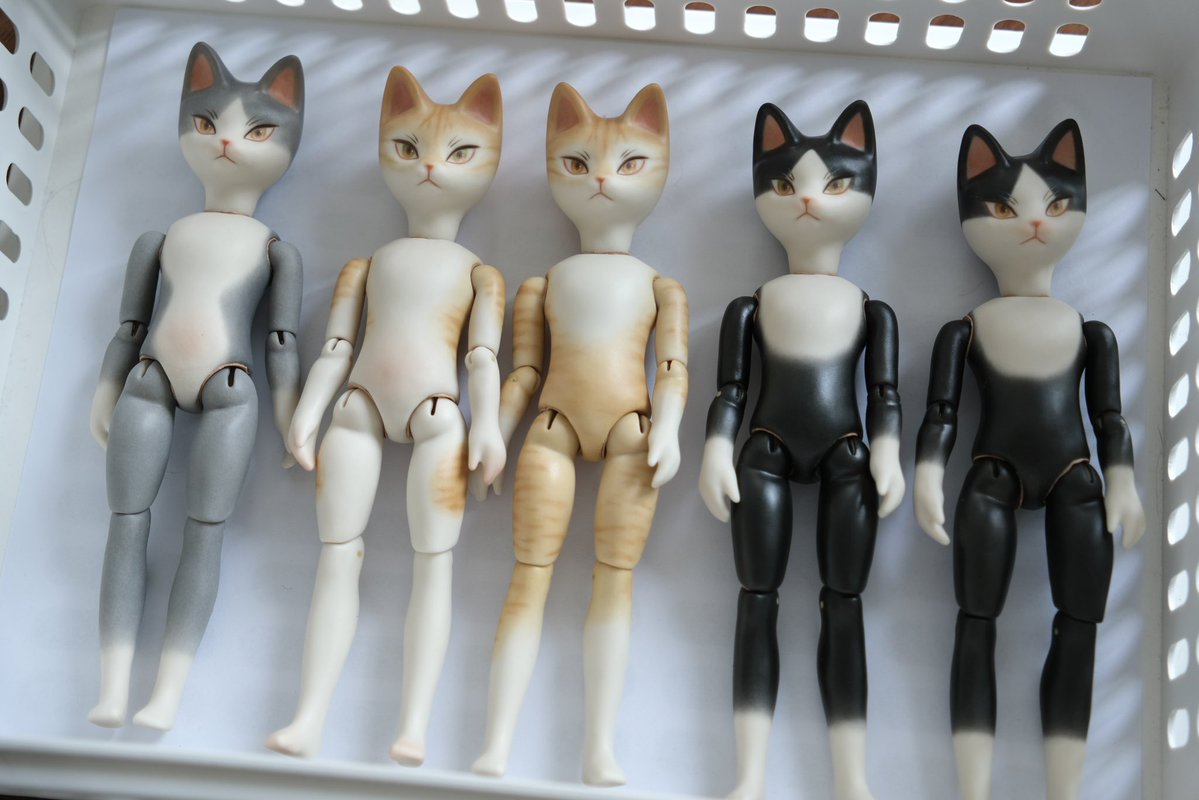 🍄cocoroico🍄 tweet media