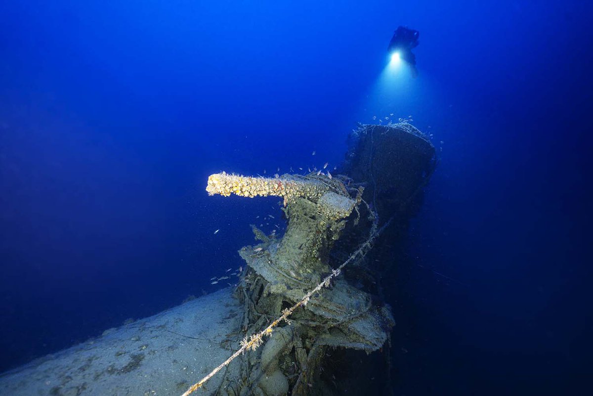 Royal Navy tweet media
