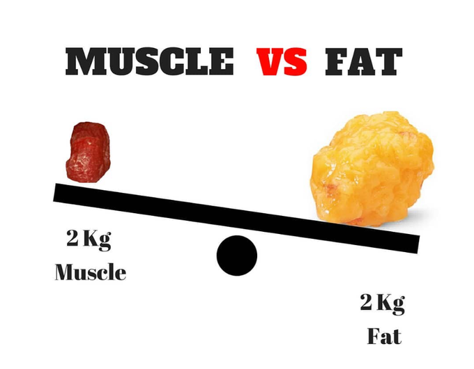 FiveFitness's tweet image. ◾Fat occupied more space than Muscle

- 1 Kg of Fat burns about 10 Kcal a day . 
- Muscle burns upto 105 Kcal a day . 
- Hence the more Muscles you have, the more Fats you burn . 
- Because The more Muscles you have, the fastest your metabolism is  

#Muscle #Fat #Facts #Health