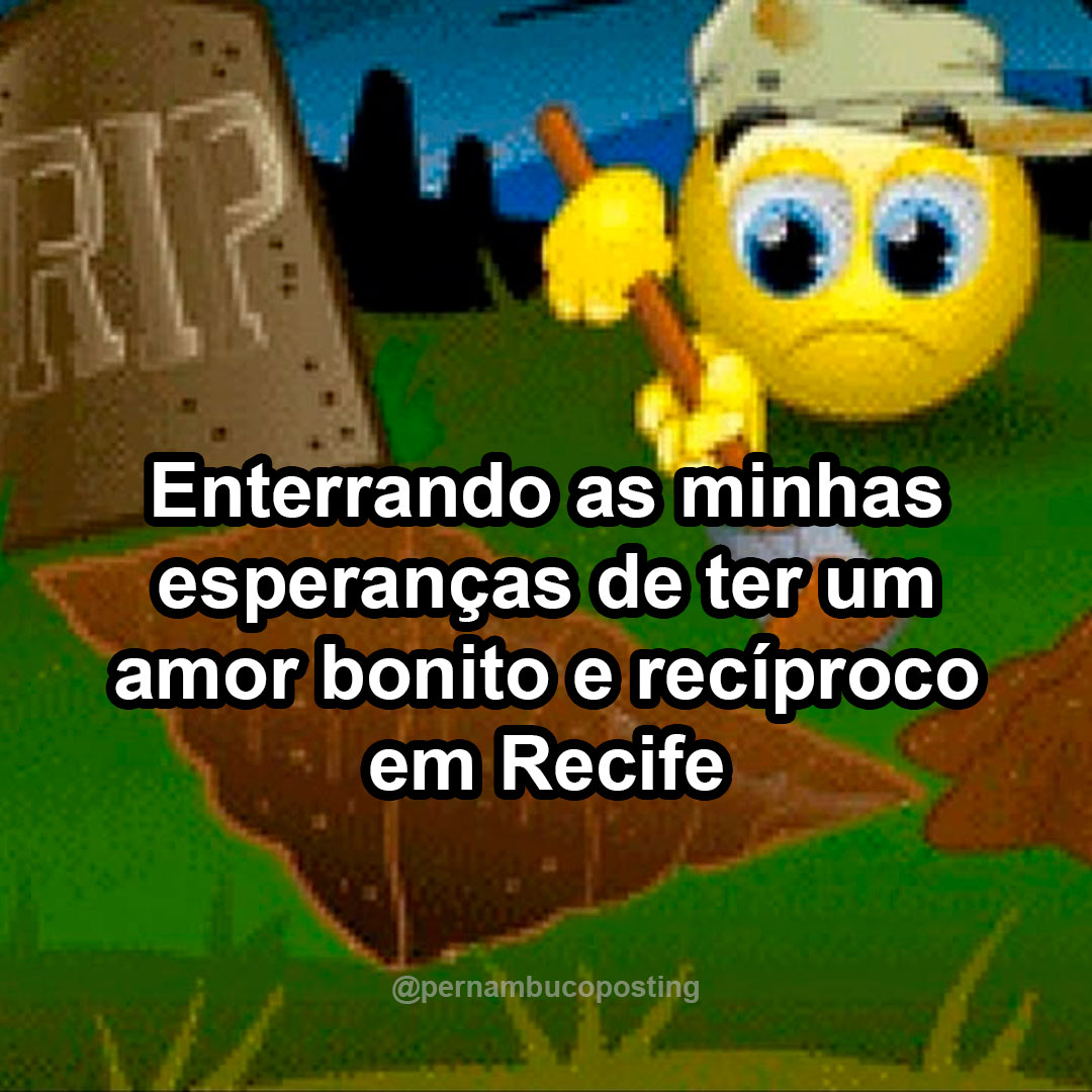 Pernambucoposting tweet media